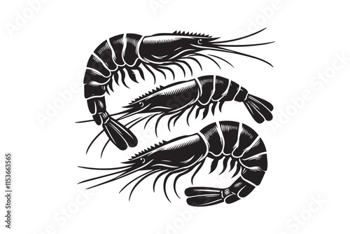 simple black an white shrimp vector silhouette isolated on a white background photo