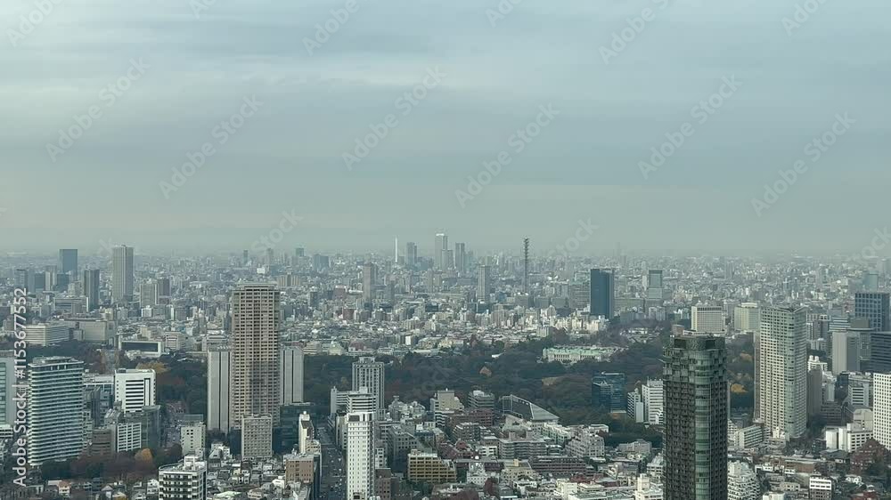 東京の超高層ビルから見下ろした街の風景 東京の超高層ビルから見下ろした街の風景