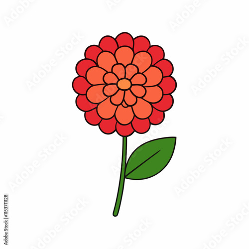 red dahlia flower