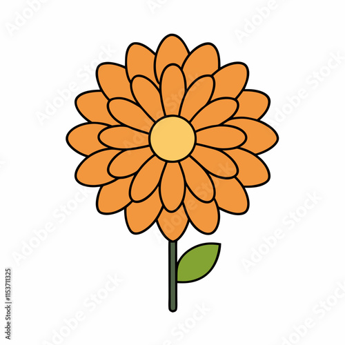 orange flower isolated on white