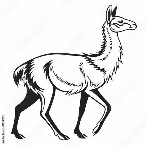 Vicuna vector silhouette black design white background