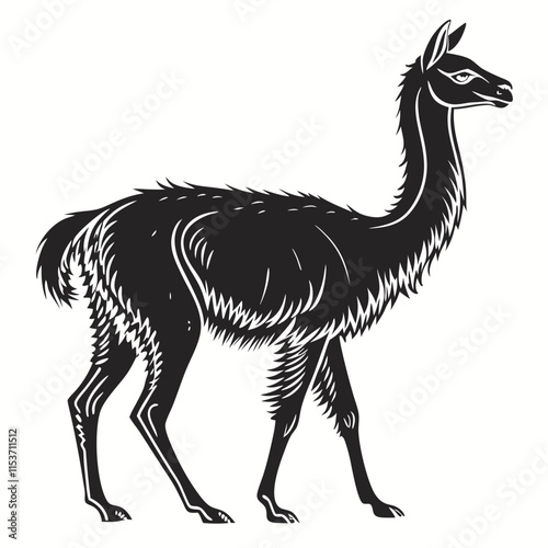 Vicuna vector silhouette black design white background