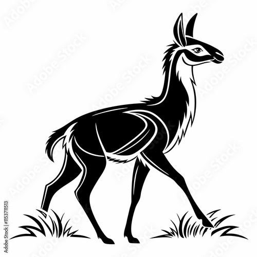 Vicuna vector silhouette black design white background