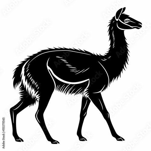 Vicuna vector silhouette black design white background