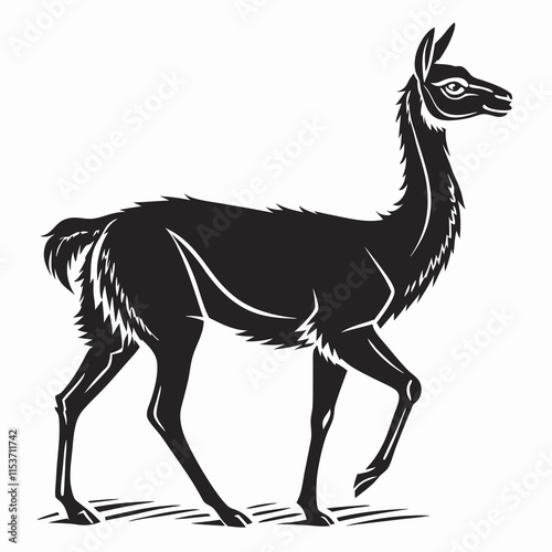 Vicuna vector silhouette black design white background