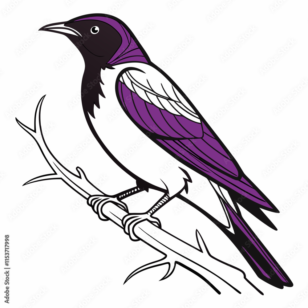 Obraz premium Violet-backed Starling vector silhouette black design white background