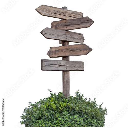 Wooden signpost with four arrows mockup pointing in different directions, standing on a green bush, isolated on transparent background photo