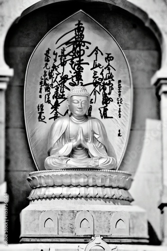 Buddha - Worshiper of non-violence photo