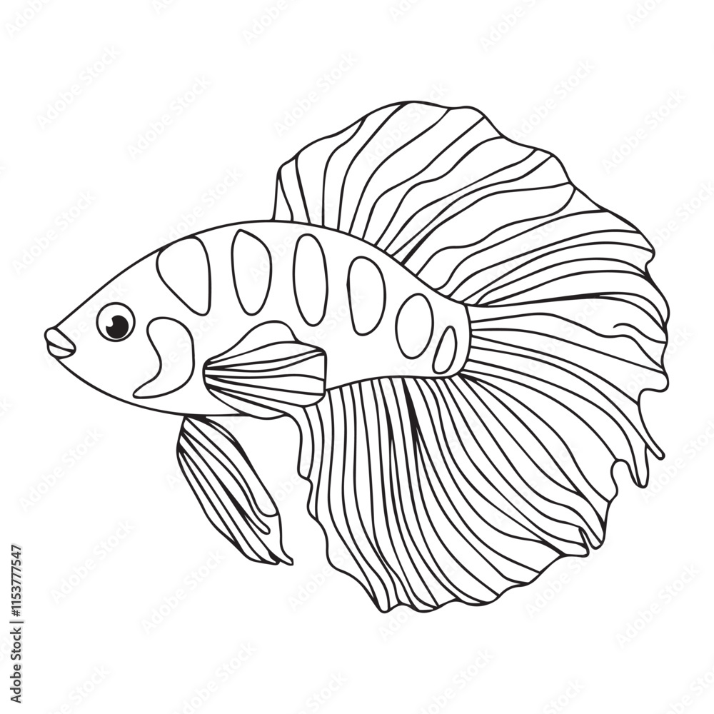 Fototapeta premium beautiful betta fish vector illustration