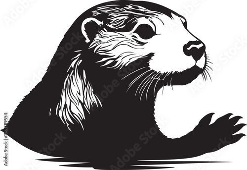 illustration of a mammal