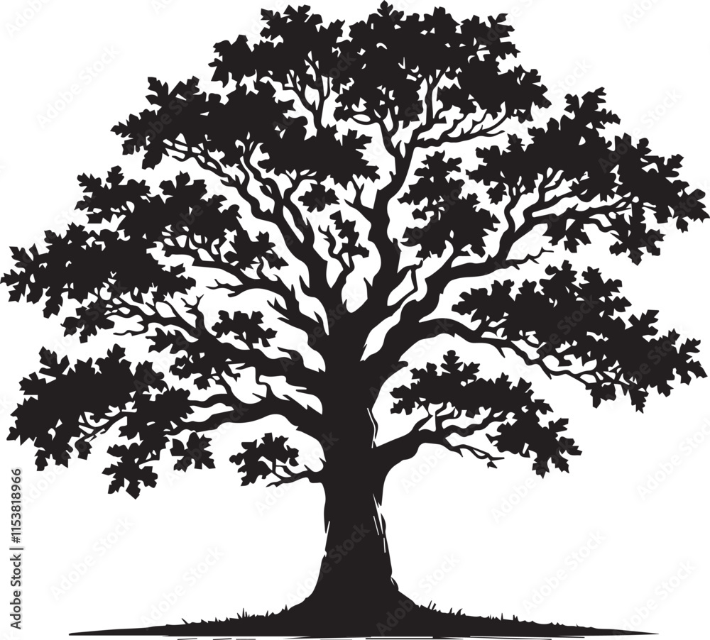 Obraz premium Oak tree silhouette