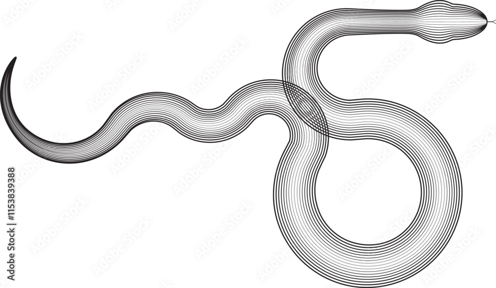 Obraz premium Chinese new year 2025 zodiac snake symbol collection .design elements . Year of the snake .World snake day logo set. Line art . Vector illustration