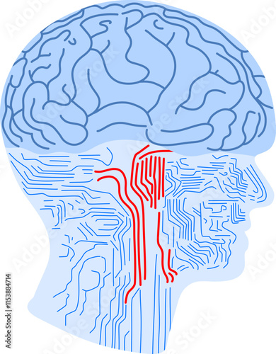 Brain as computer system