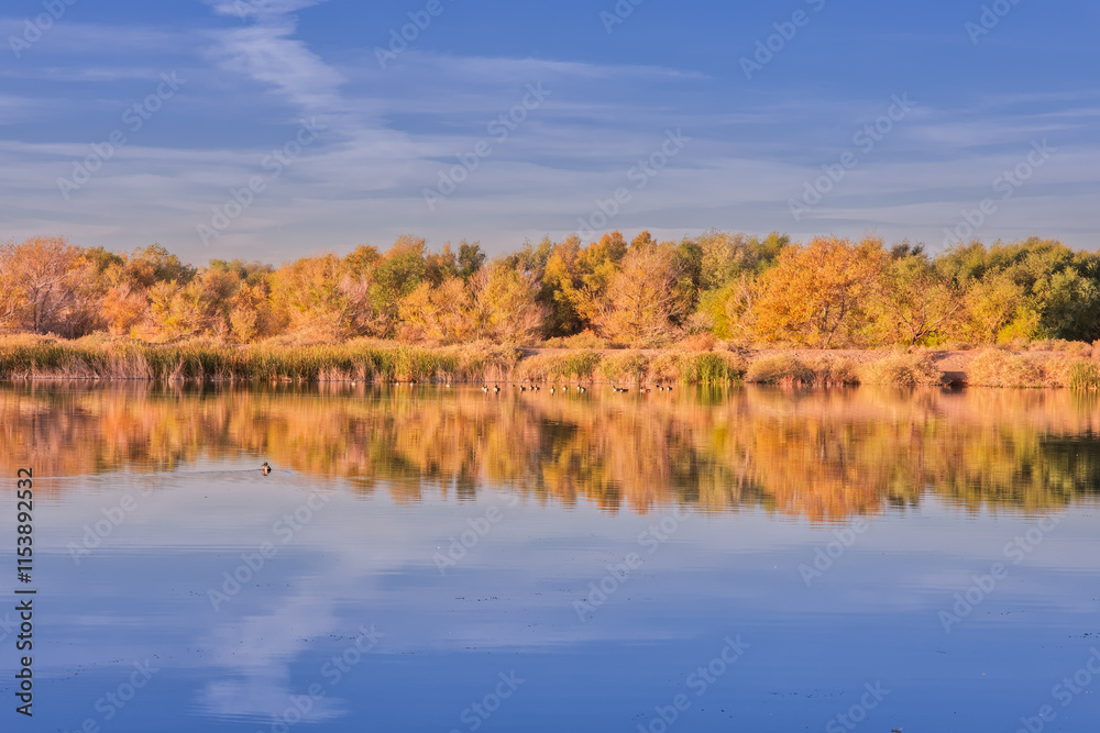 Henderson Bird Viewing Preserve Reflection in the Morning with Golden Hour Light Henderson Bird Viewing Preserve Reflection in the Morning with Golden Hour Light