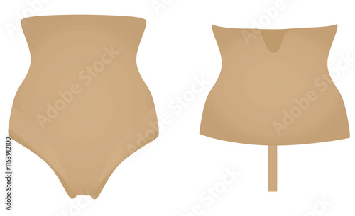 High waist panties. vector illustration