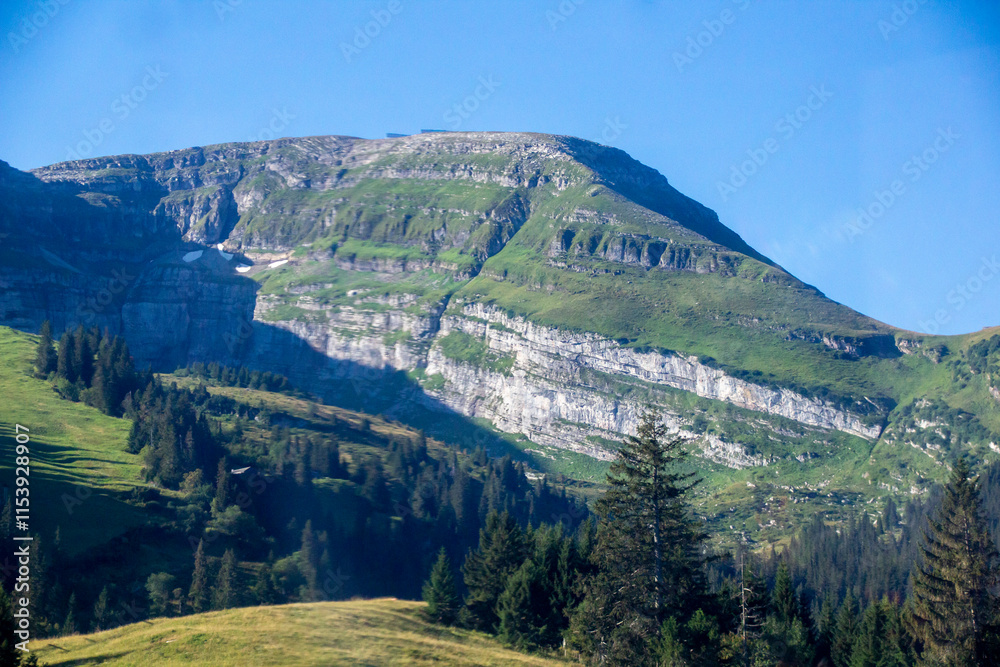 Naklejka premium landscape in the mountains