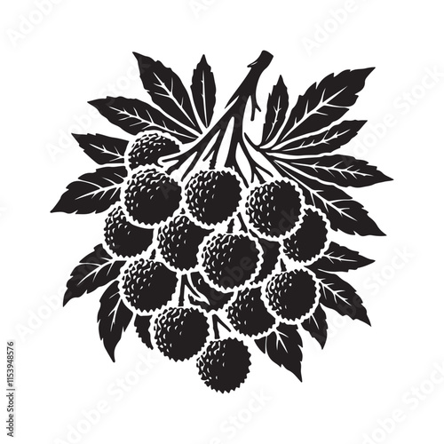 Lychee Silhouette Vector Illustration, Solid White Background.