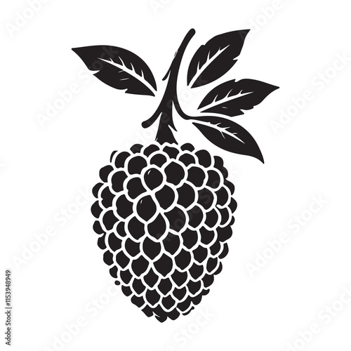 Lychee Silhouette Vector Illustration, Solid White Background.