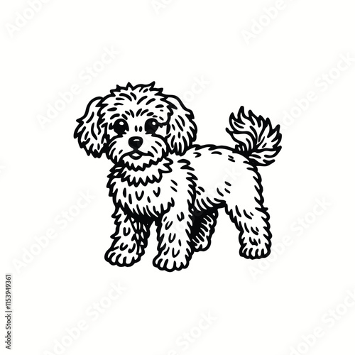 Cute smiling curly toy poodle puppy. Doodle hand drawn character. Adorable pet animal in linear cartoon style Isolated vector illustration