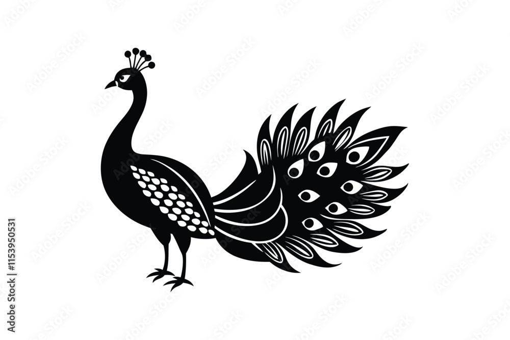 peacock isolated on white peacock isolated on white