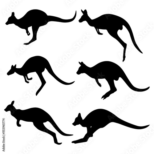 kangaroo silhouette on white background.