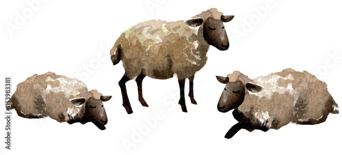 Vector freehand watercolor clipart of a cute sleeping sheeps isolated on a white background. Hand drawn children's watercolour illustration for bed linen or printing on fabric. Sheepskin.