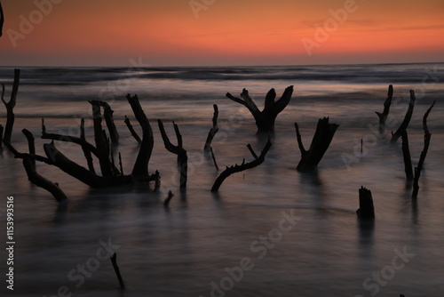 Scenery view of the silhouette group of dead mangrove with beautiful sunrise nearby Sao Iang Beach ,Tanote noi,Petchaburi ,Thailand