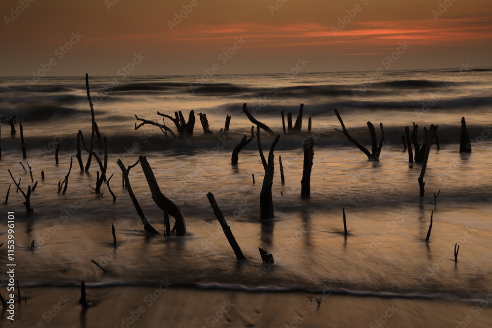 Scenery view of the silhouette group of dead mangrove with beautiful sunrise nearby Sao Iang Beach ,Tanote noi,Petchaburi ,Thailand Scenery view of the silhouette group of dead mangrove with beautiful sunrise nearby Sao Iang Beach ,Tanote noi,Petchaburi ,Thailand