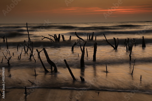 Scenery view of the silhouette group of dead mangrove with beautiful sunrise nearby Sao Iang Beach ,Tanote noi,Petchaburi ,Thailand