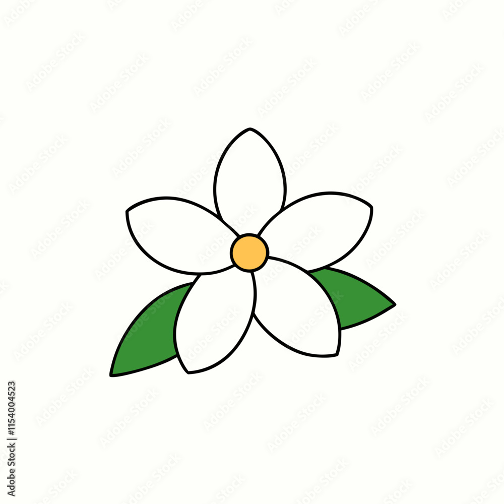 white flower isolated on white white flower isolated on white
