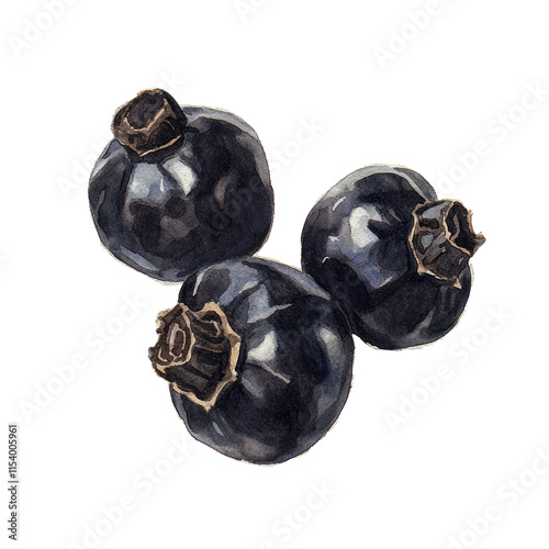 Artistic Illustration of Black Pepperberries in Pastel Colors with Detailed Textures photo