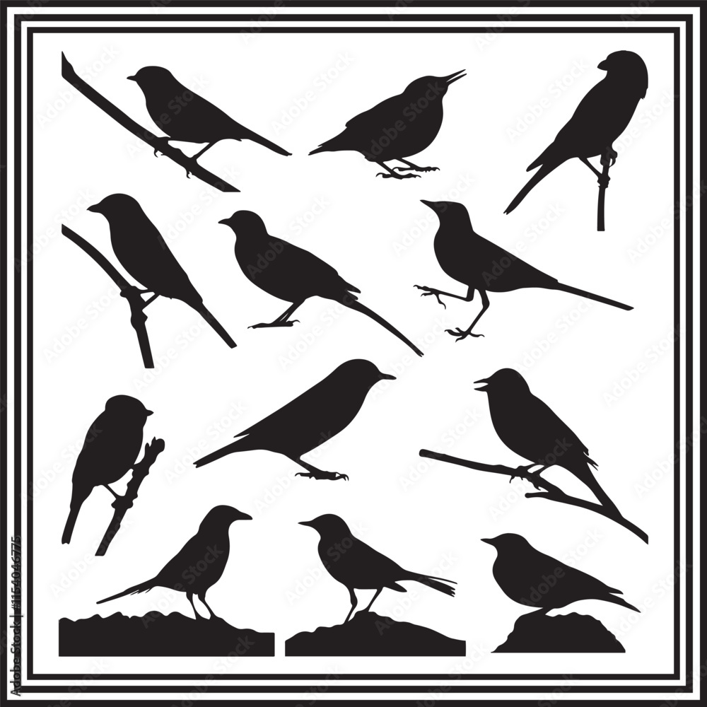 Fototapeta premium A big collection of magpie bird silhouette set, magpie silhouette logo isolated on white background.