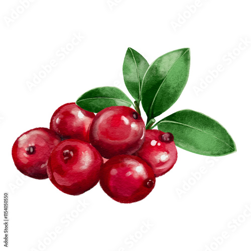 Cranberries with leaves on a white background cherries red camu-camu  berry cherry photo