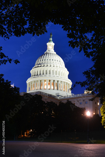 Wallpaper Mural US Capitol Building at night - Washington DC United States Torontodigital.ca