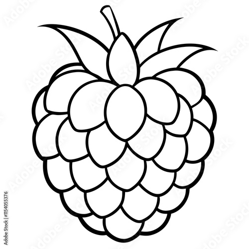Blackberry line art art vector