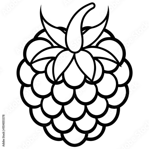 Blackberry line art art vector