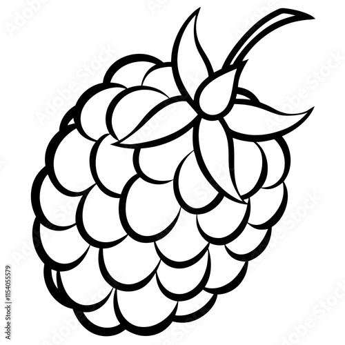 Blackberry line art art vector