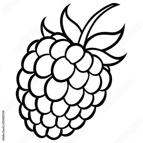 Blackberry line art art vector