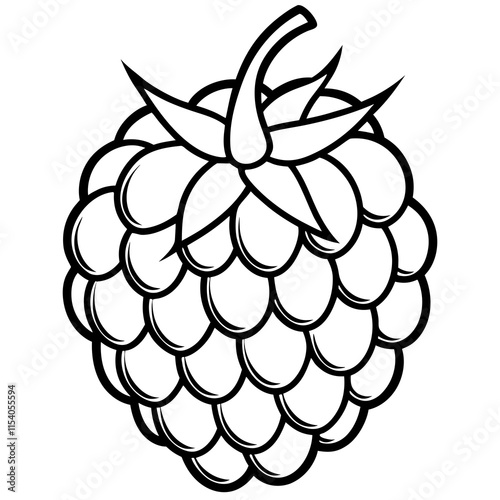 Blackberry line art art vector