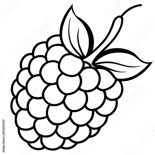 Blackberry line art art vector