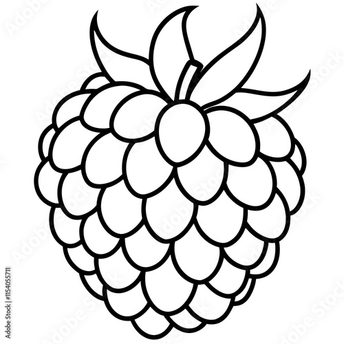 Blackberry line art art vector