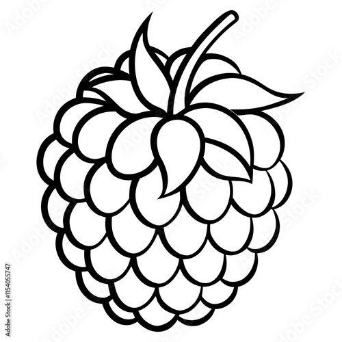 Blackberry line art art vector