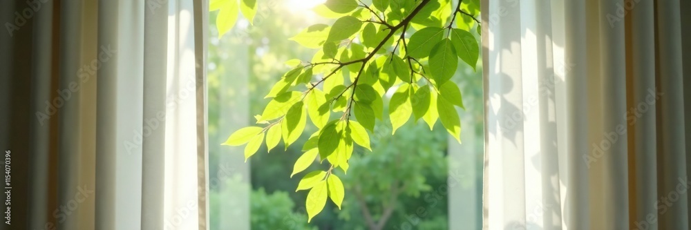 Soft curtain covers a window with branches of a green tree outside, outside, window Soft curtain covers a window with branches of a green tree outside, outside, window