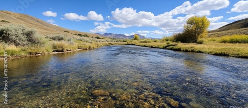 Serene River Landscape with Clear Blue Skies and Lush Greenery in Tranquil Natural Setting