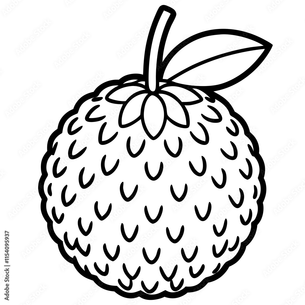 Lychee line art vector Lychee line art vector