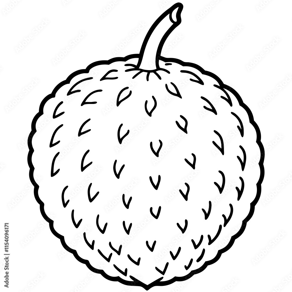 Lychee line art vector Lychee line art vector