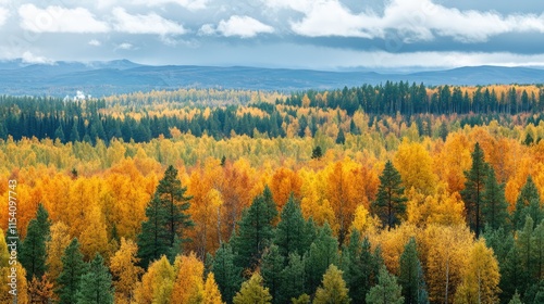 Vibrant autumn landscape in a pine forest showcasing a stunning blend of golden and green foliage under a cloudy sky.