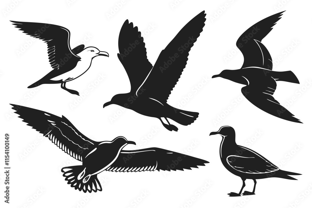 Obraz premium set of birds