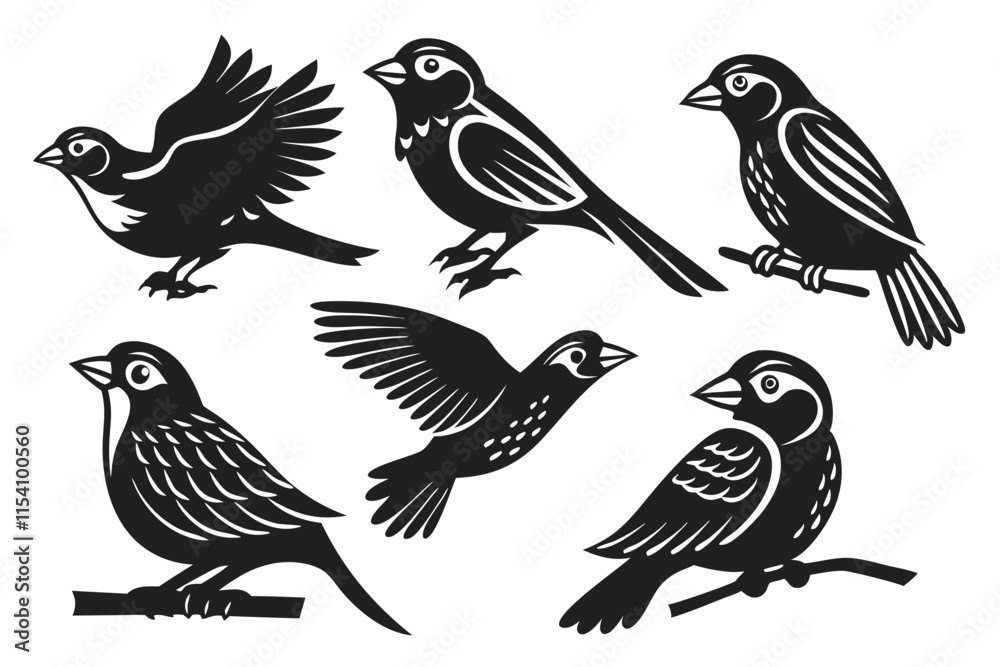 Obraz premium set of birds isolated