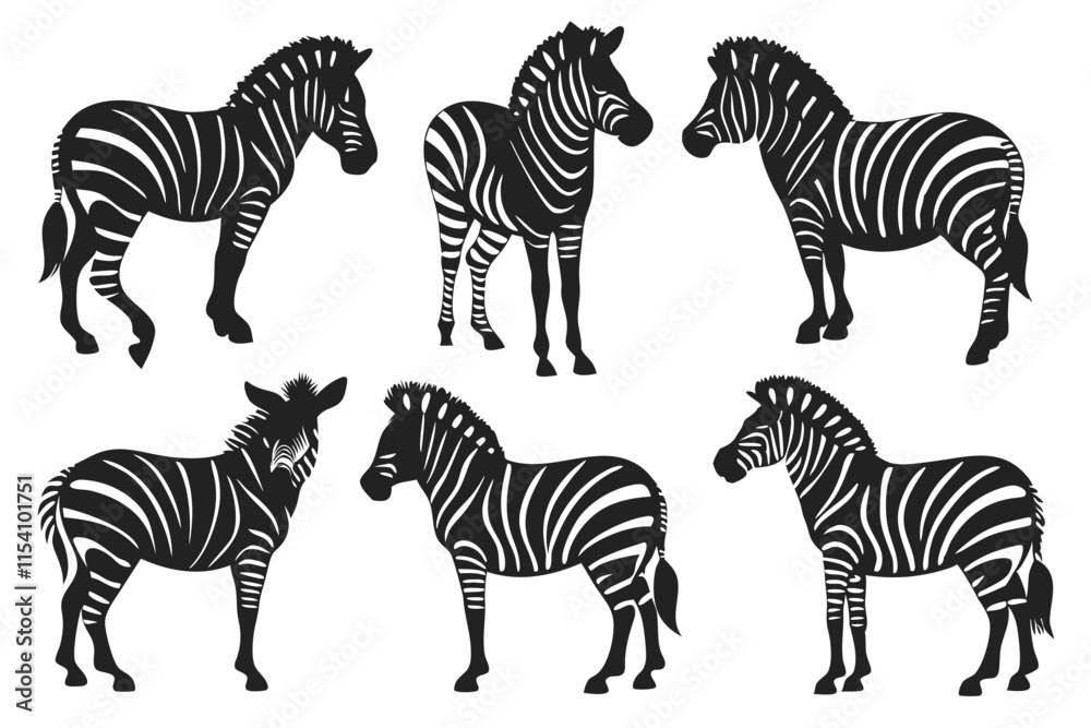 set of zebra vector illustration set of zebra vector illustration
